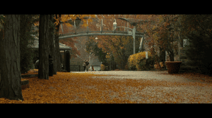  | DVD-5