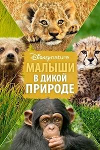 Малыши в дикой природе Малыши в дикой природе