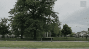   :    
