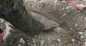  ,   