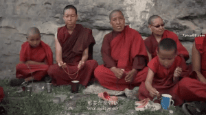 ", :     "