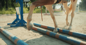  2:  