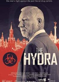 Гидра Гидра