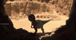   3D:    