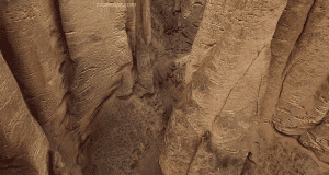   3D:    