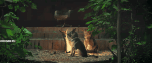 :  