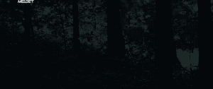 Ҹ-