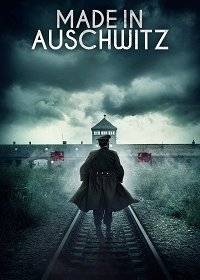 Сделано в Освенциме: Нерассказанная история блока номер десять Сделано в Освенциме: Нерассказанная история блока номер десять