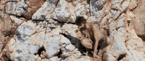   / Come se non ci fosse un domani
