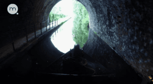     /  -