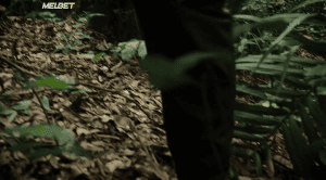 -   