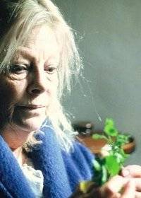 Среди камней Среди камней