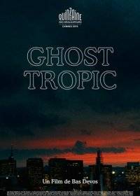 Призрачные тропики Призрачные тропики