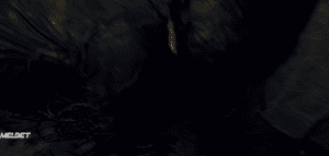  3:  