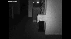   2:  