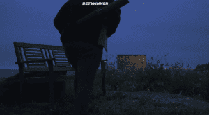   :   