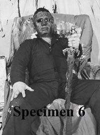 Образец № 6 Образец № 6