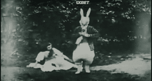   :   