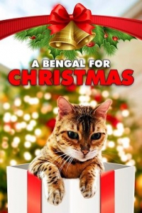 Бенгальская кошка на Рождество